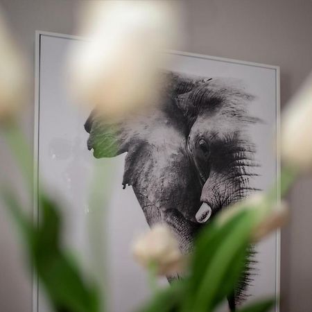 Apartment Aloha Требинье Экстерьер фото
